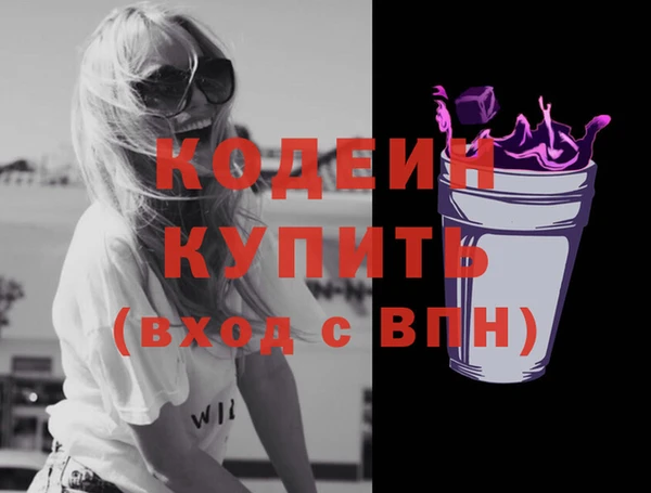 стафф Няндома
