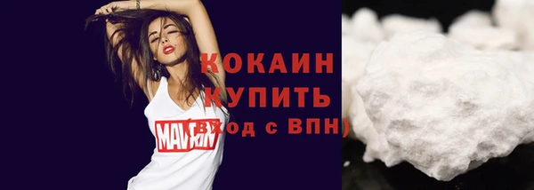 стафф Няндома