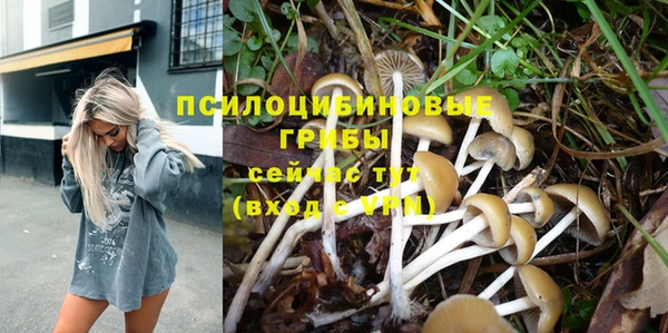 стафф Няндома
