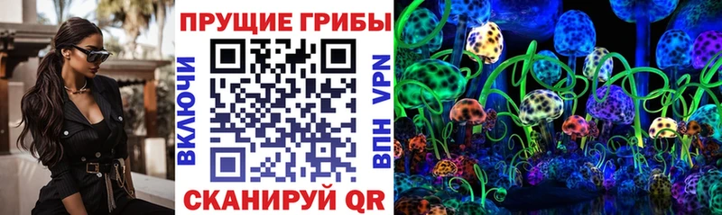 дарк нет состав  мега ССЫЛКА  Тырныауз  Галлюциногенные грибы Psilocybine cubensis 